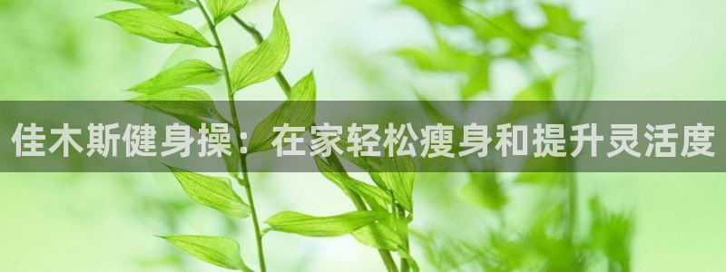 龙8游戏国际登录