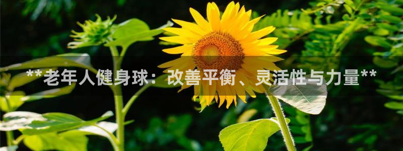 龙8国际pt官方网址