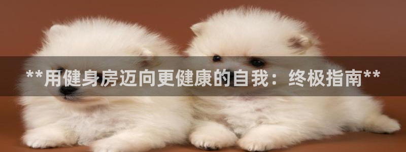 龙8老虎机网络游戏