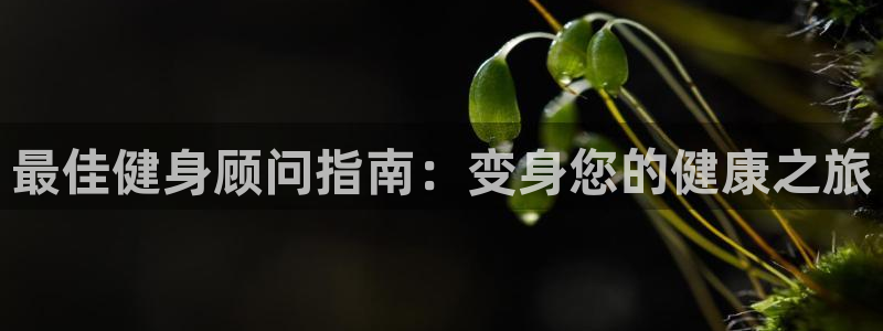 龙8国际app客户端下载