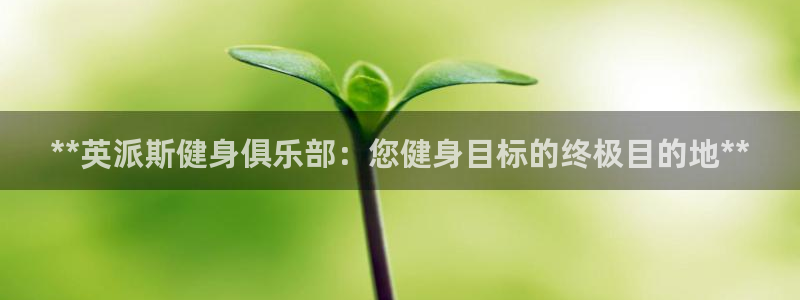 龙8国际官方网站