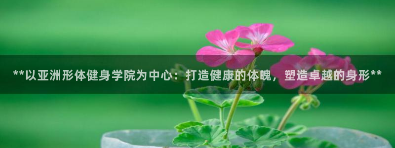 龙8手机游戏官网