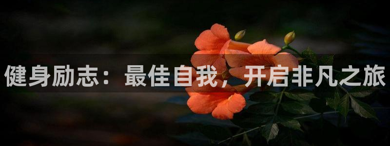 龙8国际手机版官网下载