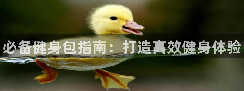 龙8国际龙8官方网站