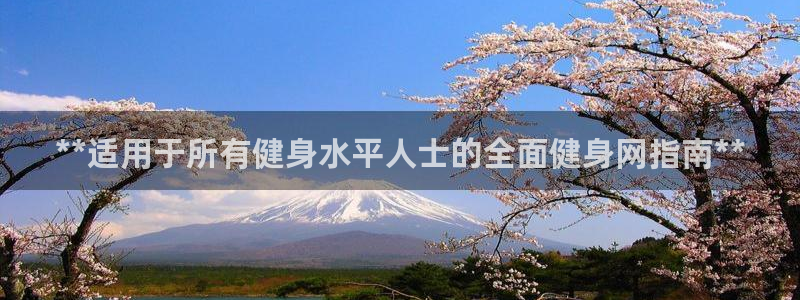 龙8国际app客户端下载不了