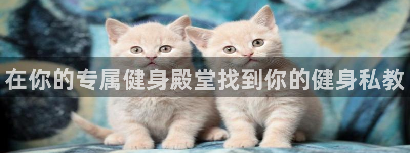 龙8国际手机版官网