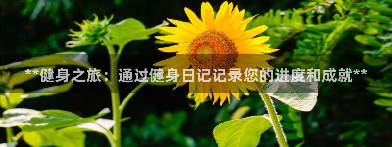 龙8国际官方网址下载