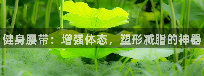 龙8游戏官方网站z