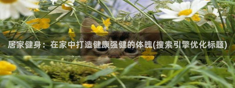 龙8国际电子游戏