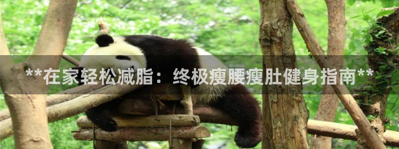 龙8国际唯一官网登录口