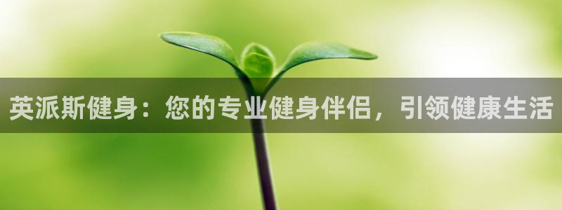 龙8国际唯一登录地址