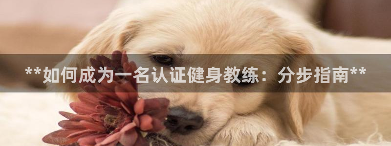 龙八国际娱乐官网下载