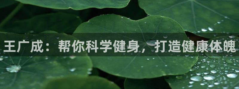 龙8国际网页登陆