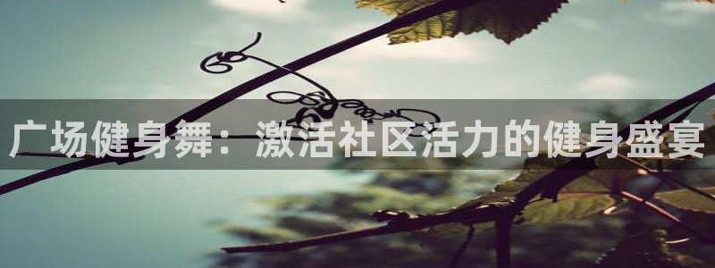 龙八国际服官网站