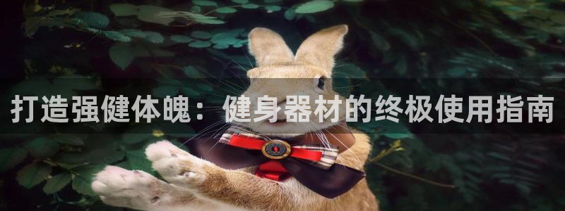 龙8国际手机游戏官网