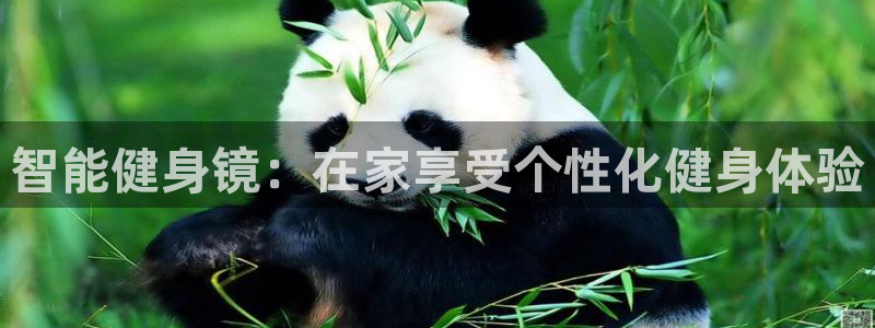 国际龙8官网pt客户端
