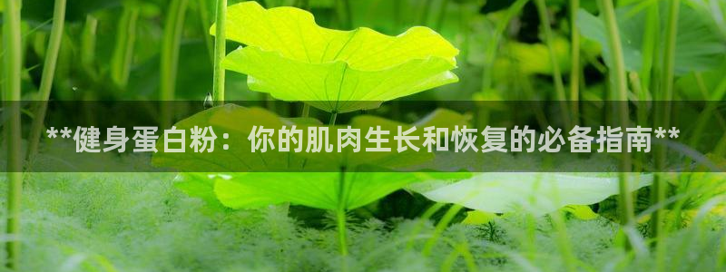 龙八国际官网下载