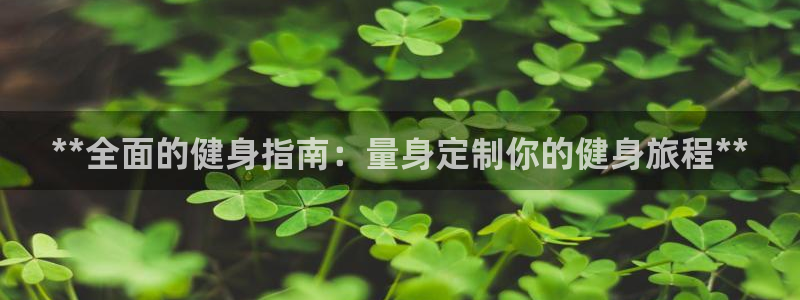 龙8国际是什么