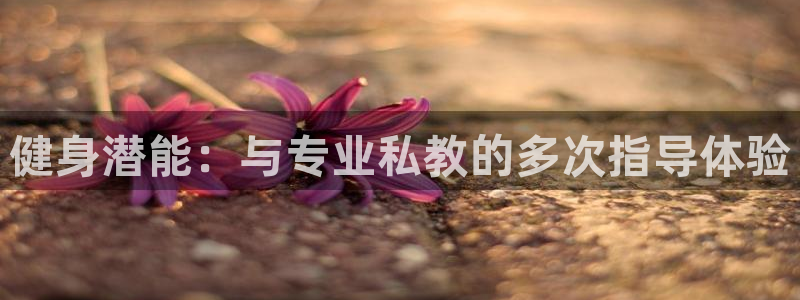 龙8游戏官网