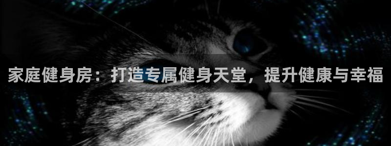 龙 八国际