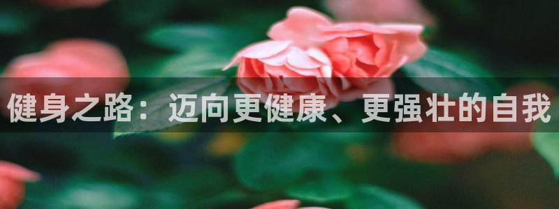 龙8国际平台登录