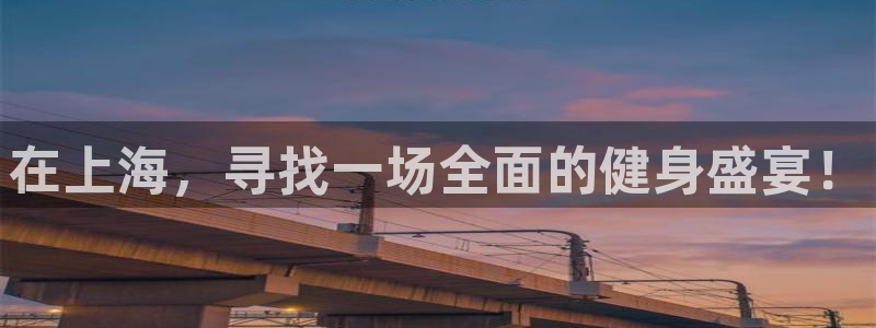 龙8国际备用