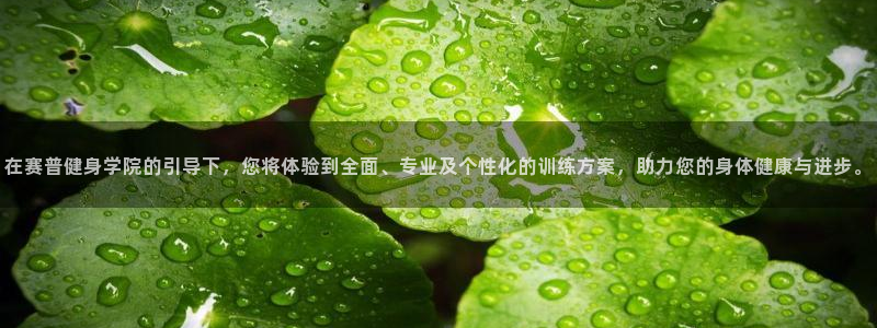 龙8国际官方网址下载