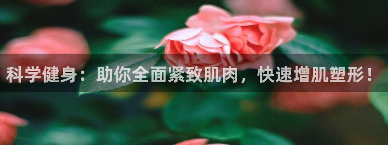 龙8国际官方网站苹果版