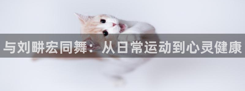 龙8国际app 下载