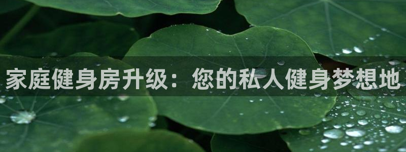 龙八国际娱乐官方网站