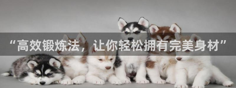 龙8国际安卓版版