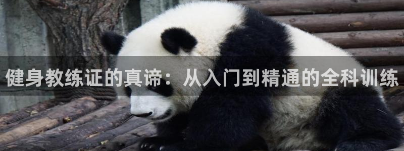 龙8国际唯一官网官方版