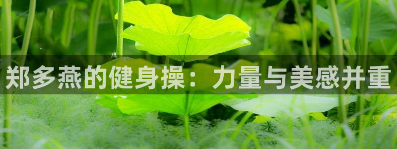 龙8国际官方网址下载