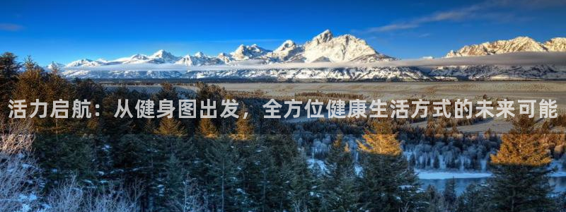 龙八国际登录密码