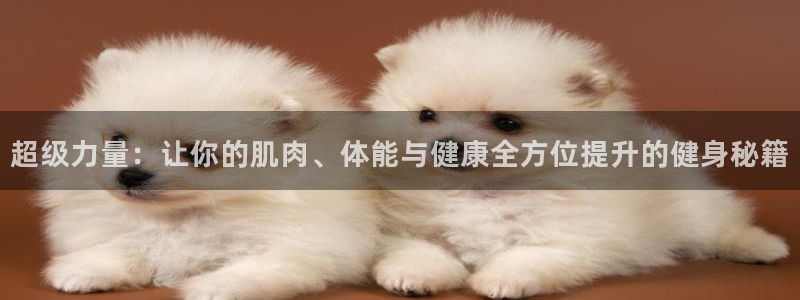 龙8国际long8龙8游戏