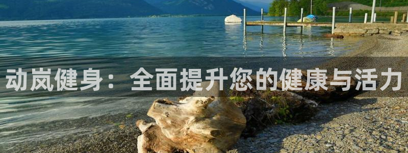 龙八国际服官网站