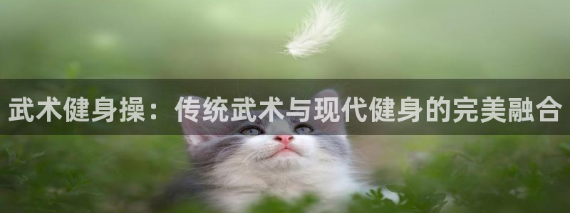 龙8国际手机版官网下载