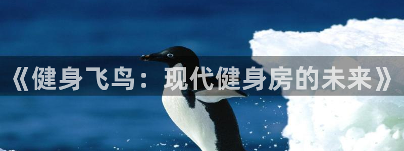 龙8国际游戏官网