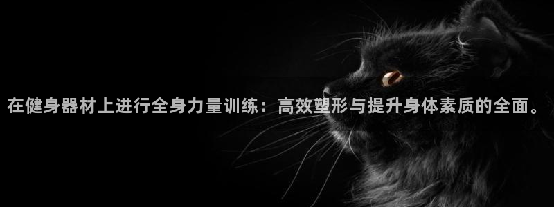 龙8国际的漏洞