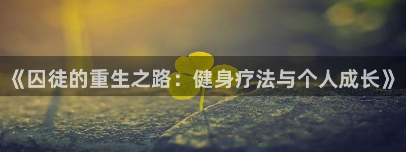 龙8老虎机游戏网站多少