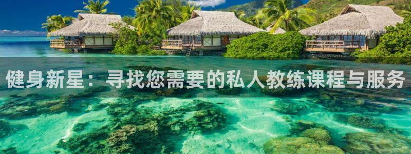 龙8国际是什么平台