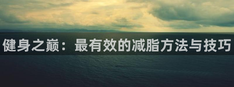 龙8官网在线试玩