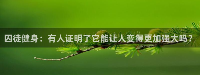 龙8国际官网版最新版下载