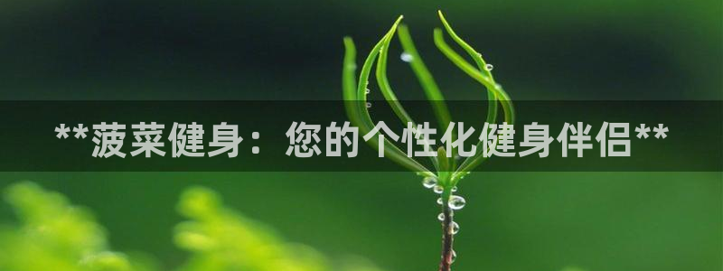 龙8游戏官方进入
