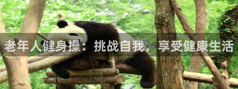 龙八国际app客户端下载不了