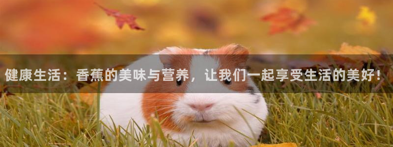 龙 八国际