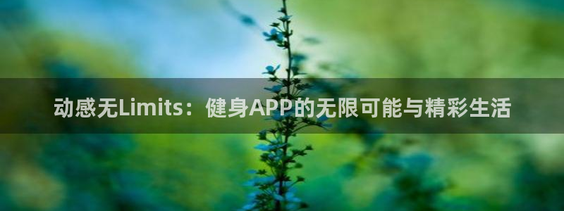 龙八国际网页登录