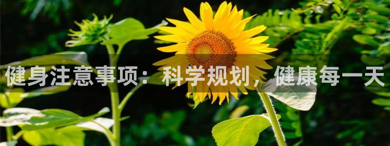 龙8国际手机版注册