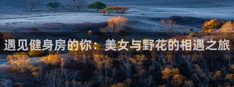 龙8国际安卓版版