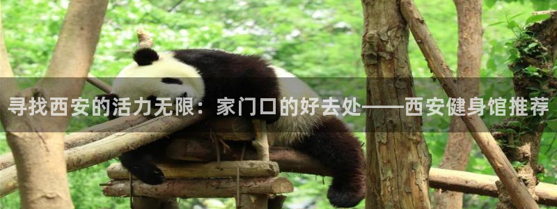 龙8游戏官方网站登录